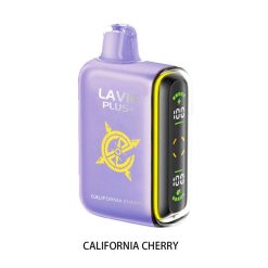 Lavie Plus 15000 Disposable Vape1