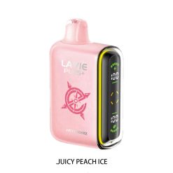 Lavie Plus 15000 Disposable Vape2