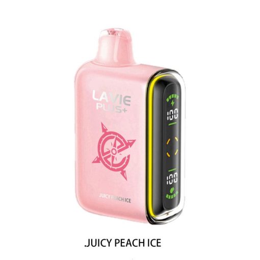 Lavie Plus 15000 Disposable Vape2