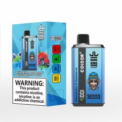 Bang King Coloor 30000 Puffs Disposable Vape Wholesale (12)