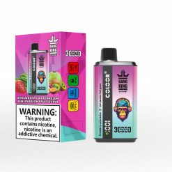 Bang King Coloor 30000 Puffs Disposable Vape Wholesale (6)