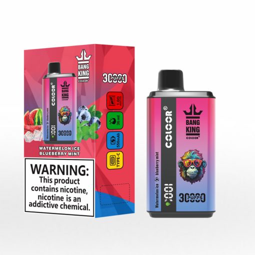 Bang King Coloor 30000 Puffs Disposable Vape Wholesale (8)