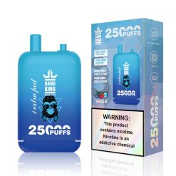 Bang King 25000 Puffs Disposable Vape Wholesale Blue Razz Ice