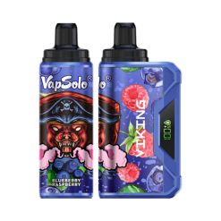 Vapsolo Viking 12000 Puffs Disposable Vape Wholesale Blueberry Raspberry