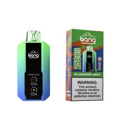 Bang 25000 Puffs Einweg Vape Großhandel Heidelbeere Minze