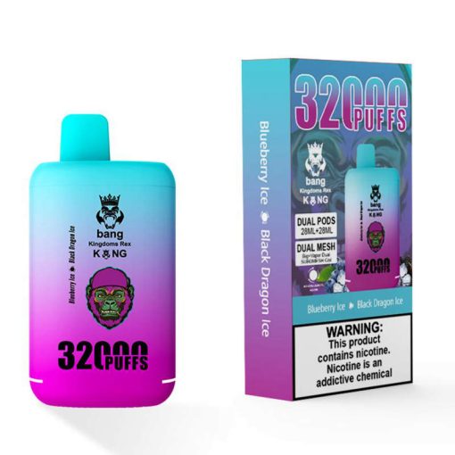 Bang Kingdom Rex 32000 Puffs Disposable Vape Wholesale Blueberry Ice Black Dragon Ice